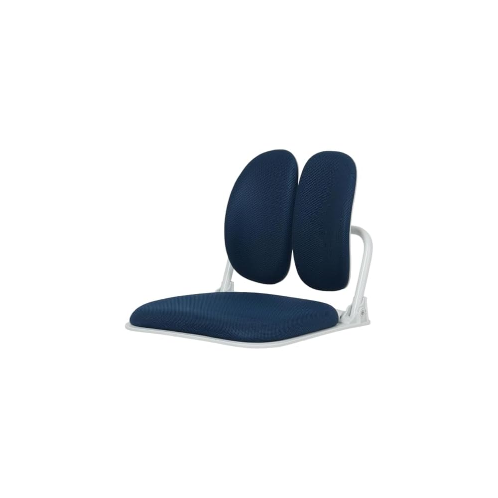 Ergonomic Dual-Backrests Floor Chair with Back Support (Blue)
